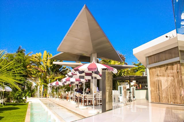 Shogun🏝️
